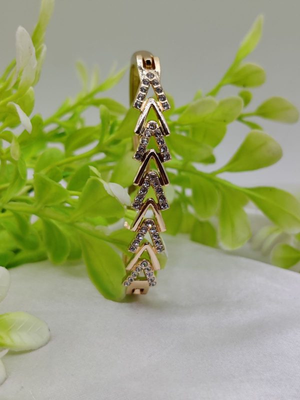 Elegant Adjustable Bracelet